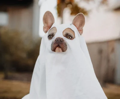 product-thumb-5_optimized Consectetur Adipiscing